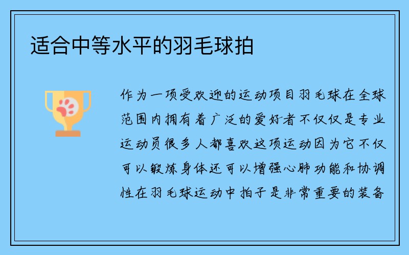 适合中等水平的羽毛球拍