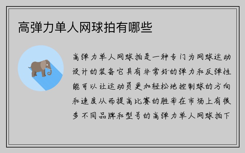 高弹力单人网球拍有哪些