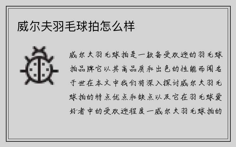 威尔夫羽毛球拍怎么样