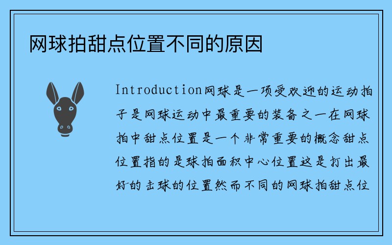 网球拍甜点位置不同的原因